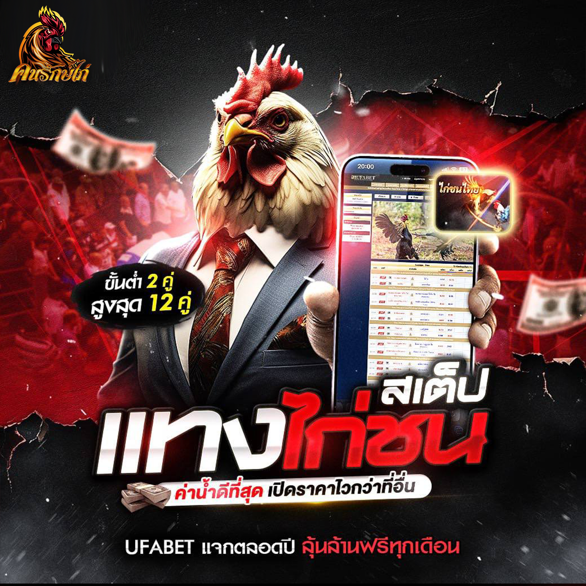 แทงไก่ชนค่าน้ำดีที่สุด